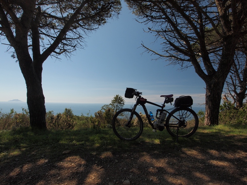 Avete bisogno di un caricabatterie rapido Panasonic 26v per la vostra  batteria di bicicletta?